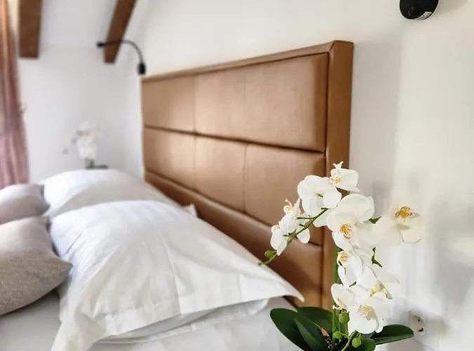 Konukevi Rio Luxury