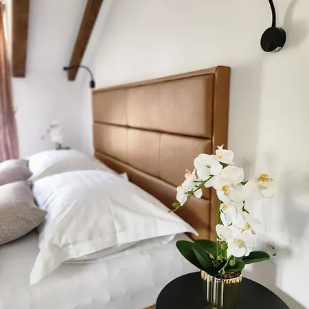 Guest house Rio Luxury