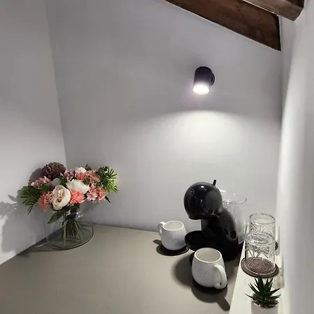 Rio Luxury Guest house *